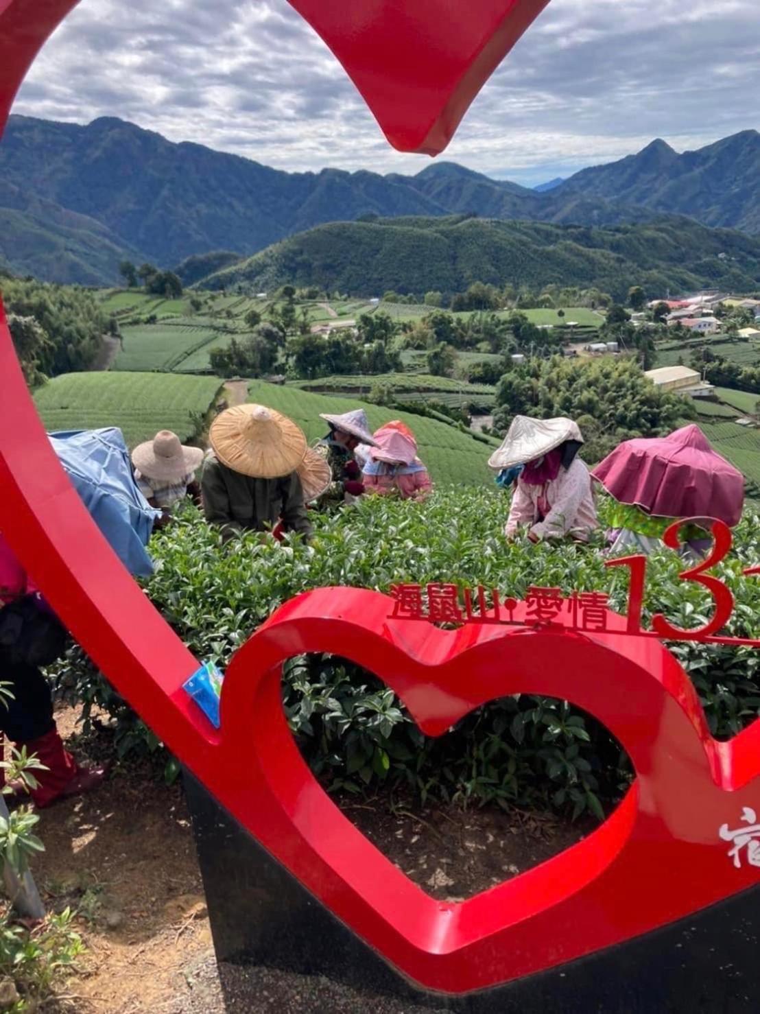 Gaodiyuan Tea B&B 高帝園茶業民宿 Meishan Dış mekan fotoğraf